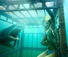 Su última película fue "Shark Night 3D" que usó todos los clichés de películas del género de horror submarino. Aún así Ellis será recordado por llevar películas de su género favorito, recreando el sentir de las "B-Movies" clásicas.